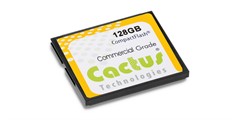 Cactus Technologies 240 Series - MLC Compact Flash