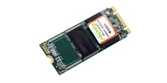 Cactus Technologies pSLC 245S Series – M.2 SSD